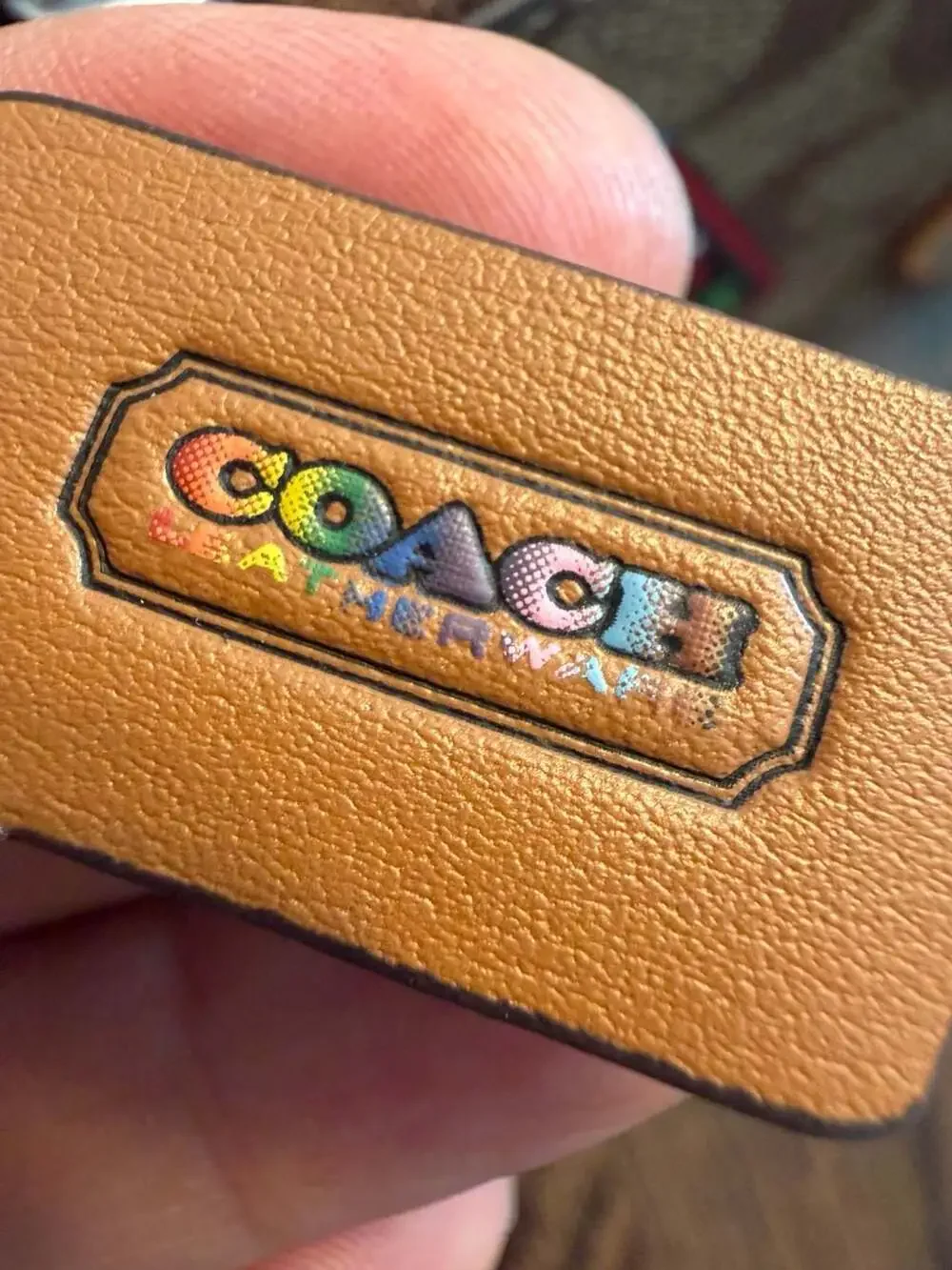 Coach Nolita 19 In Signature Canvas With Patches CK383 Pride 2023